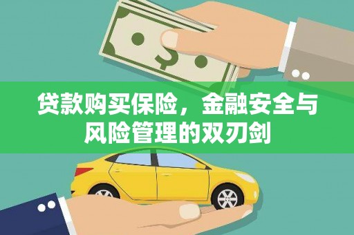龙岗贷款购买保险，金融安全与风险管理的双刃剑