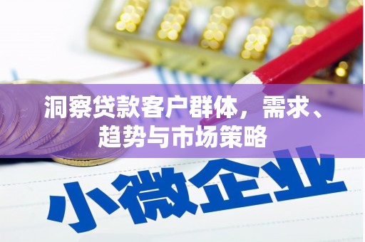 龙岗洞察贷款客户群体，需求、趋势与市场策略