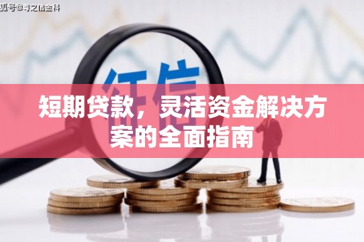 龙岗短期贷款，灵活资金解决方案的全面指南
