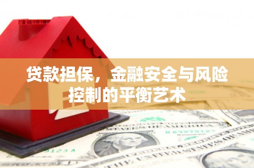 龙岗贷款担保，金融安全与风险控制的平衡艺术