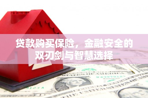 龙岗贷款购买保险，金融安全的双刃剑与智慧选择