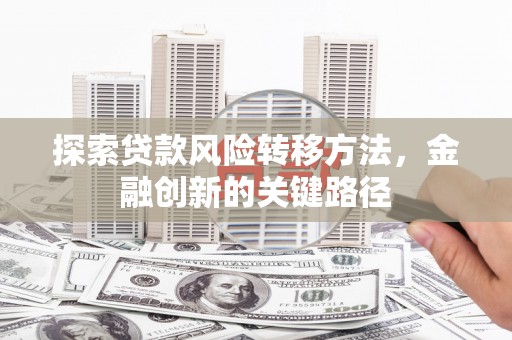 龙岗探索贷款风险转移方法，金融创新的关键路径