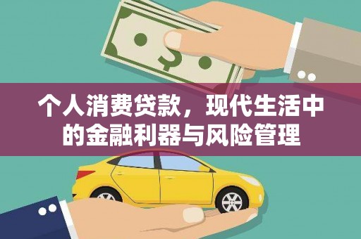 龙岗个人消费贷款，现代生活中的金融利器与风险管理