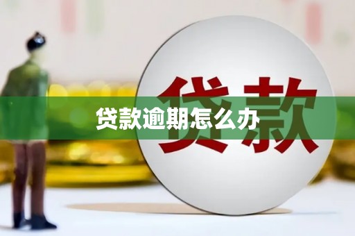 龙岗贷款逾期怎么办