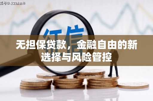 龙岗无担保贷款，金融自由的新选择与风险管控
