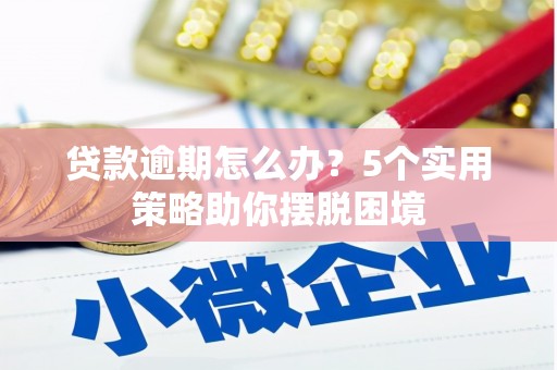 龙岗贷款逾期怎么办？5个实用策略助你摆脱困境