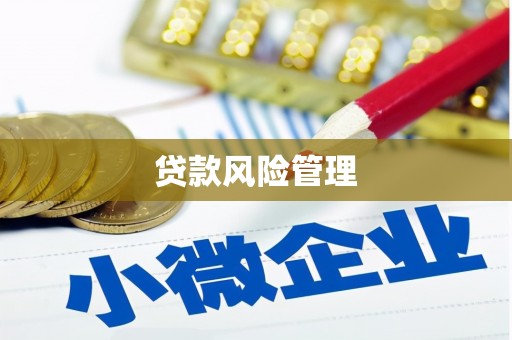 龙岗贷款风险管理