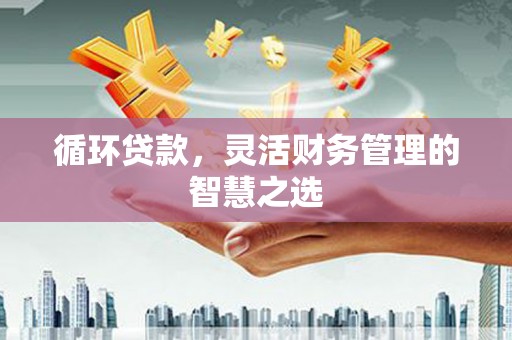 龙岗循环贷款，灵活财务管理的智慧之选