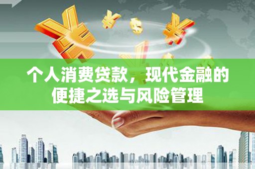 龙岗个人消费贷款，现代金融的便捷之选与风险管理