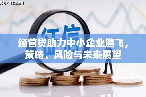 龙岗经营贷助力中小企业腾飞，策略、风险与未来展望