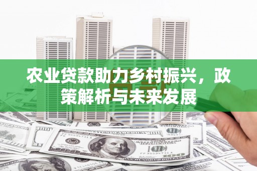 龙岗农业贷款助力乡村振兴，政策解析与未来发展