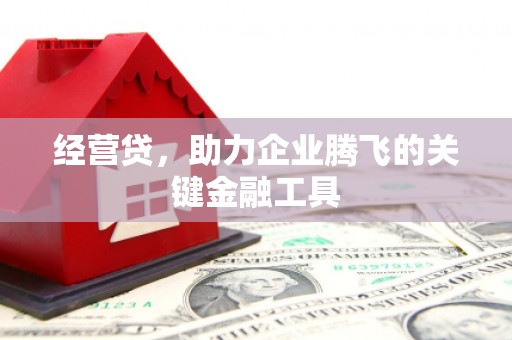 龙岗经营贷，助力企业腾飞的关键金融工具