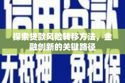 龙岗探索贷款风险转移方法，金融创新的关键路径