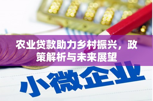 龙岗农业贷款助力乡村振兴，政策解析与未来展望