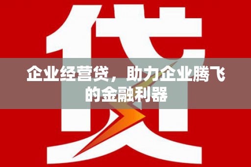 龙岗企业经营贷，助力企业腾飞的金融利器
