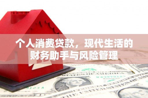 龙岗个人消费贷款，现代生活的财务助手与风险管理