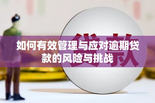 龙岗如何有效管理与应对逾期贷款的风险与挑战