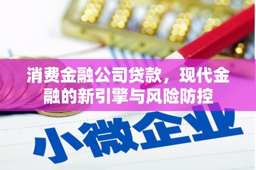 龙岗消费金融公司贷款，现代金融的新引擎与风险防控
