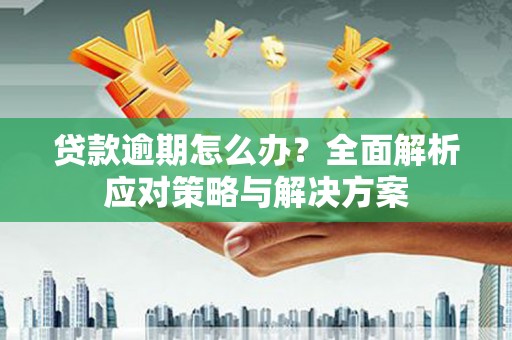 龙岗贷款逾期怎么办？全面解析应对策略与解决方案