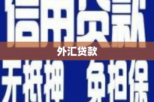 龙岗外汇贷款
