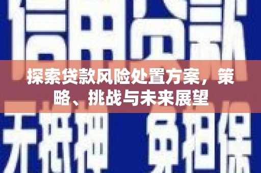 龙岗探索贷款风险处置方案，策略、挑战与未来展望