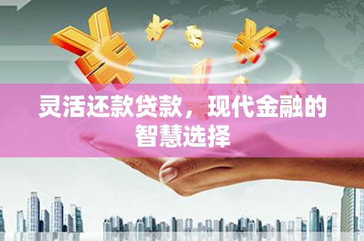 龙岗灵活还款贷款，现代金融的智慧选择