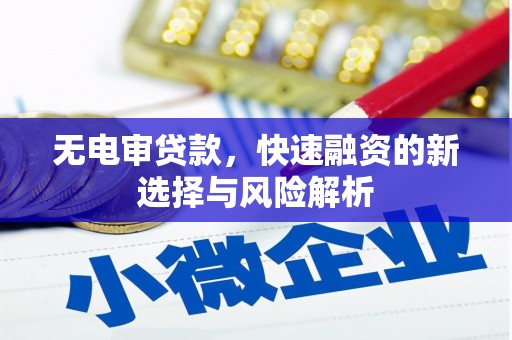 龙岗无电审贷款，快速融资的新选择与风险解析