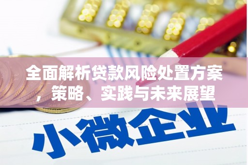 龙岗全面解析贷款风险处置方案，策略、实践与未来展望