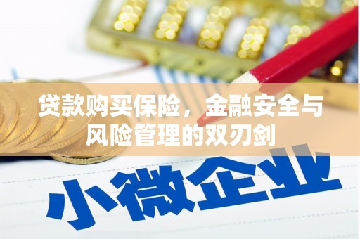 龙岗贷款购买保险，金融安全与风险管理的双刃剑