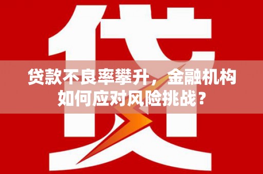 龙岗贷款不良率攀升，金融机构如何应对风险挑战？