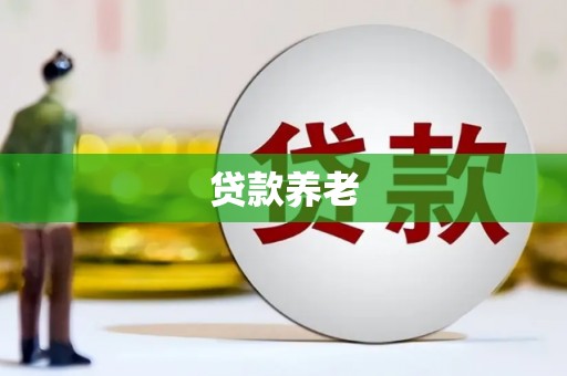 龙岗贷款养老