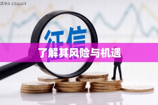 龙岗了解其风险与机遇