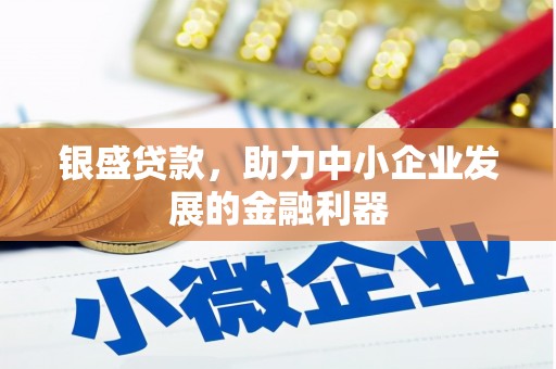 龙岗银盛贷款，助力中小企业发展的金融利器