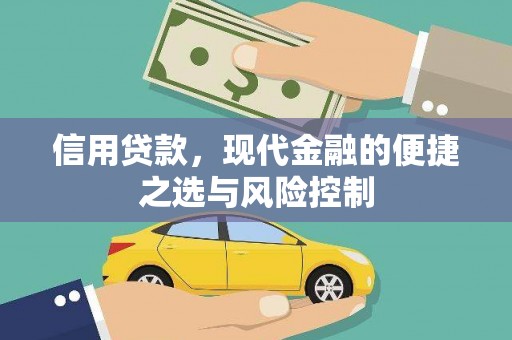 龙岗信用贷款，现代金融的便捷之选与风险控制