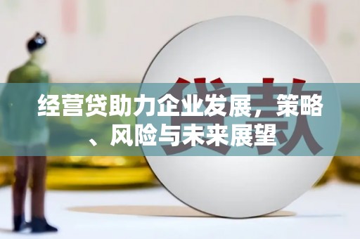 龙岗经营贷助力企业发展，策略、风险与未来展望
