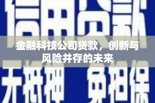龙岗金融科技公司贷款，创新与风险并存的未来