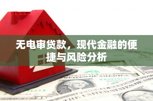 龙岗无电审贷款，现代金融的便捷与风险分析