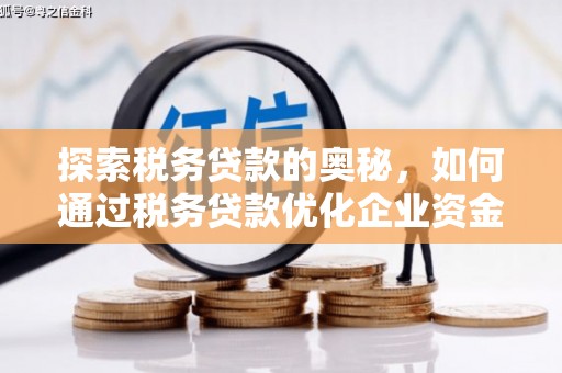 龙岗探索税务贷款的奥秘，如何通过税务贷款优化企业资金流
