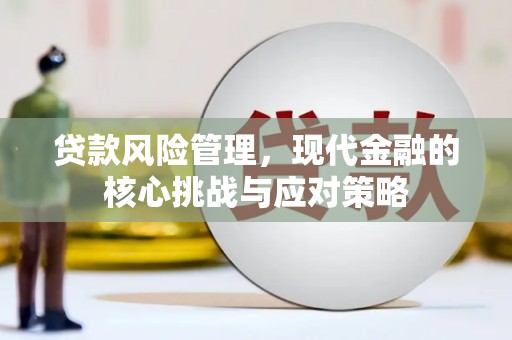 龙岗贷款风险管理，现代金融的核心挑战与应对策略