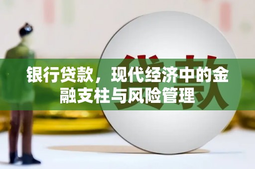 龙岗银行贷款，现代经济中的金融支柱与风险管理