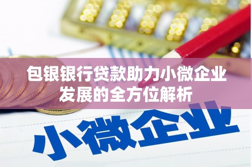 龙岗包银银行贷款助力小微企业发展的全方位解析