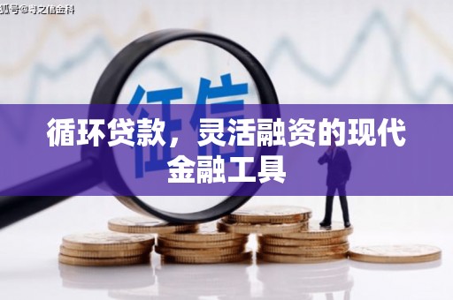 龙岗循环贷款，灵活融资的现代金融工具