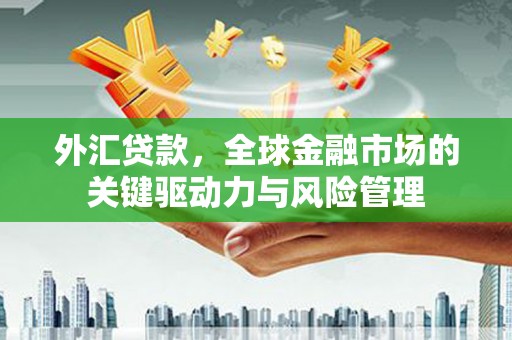 龙岗外汇贷款，全球金融市场的关键驱动力与风险管理