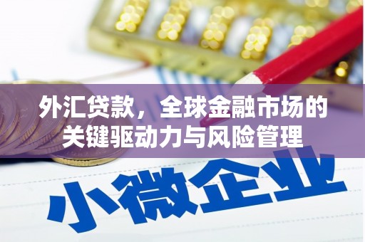 龙岗外汇贷款，全球金融市场的关键驱动力与风险管理