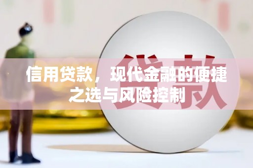 龙岗信用贷款，现代金融的便捷之选与风险控制
