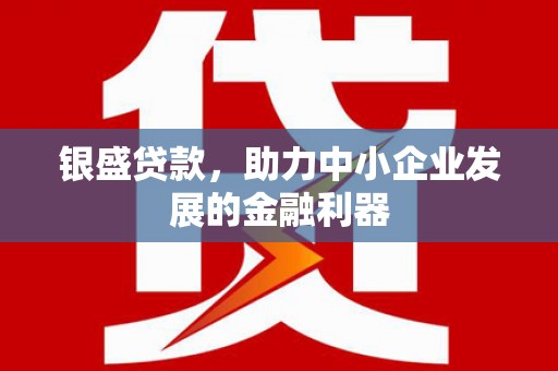 龙岗银盛贷款，助力中小企业发展的金融利器