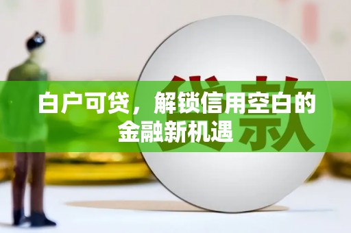 龙岗白户可贷，解锁信用空白的金融新机遇