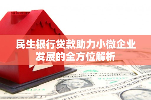 龙岗民生银行贷款助力小微企业发展的全方位解析