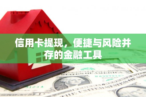 龙岗信用卡提现，便捷与风险并存的金融工具