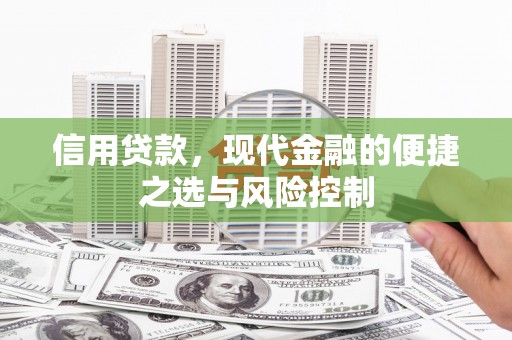 龙岗信用贷款，现代金融的便捷之选与风险控制